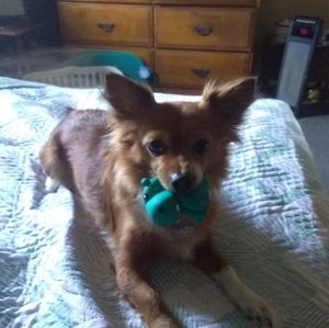 Meet your Posher, Gary